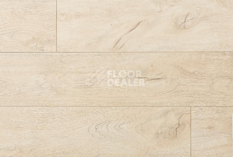 Ламинат My Step Fortis MS512 Дуб Бореа фото 1 | FLOORDEALER